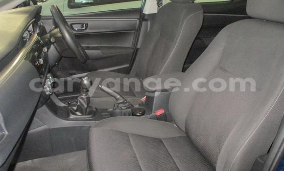 Acheter Occasion Voiture Toyota Corolla Bleu à Windhoek, Namibie Acheter Occasion Voiture Toyota Corolla Bleu à Windhoek, Namibie