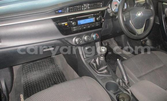 Acheter Occasion Voiture Toyota Corolla Bleu à Windhoek, Namibie Acheter Occasion Voiture Toyota Corolla Bleu à Windhoek, Namibie