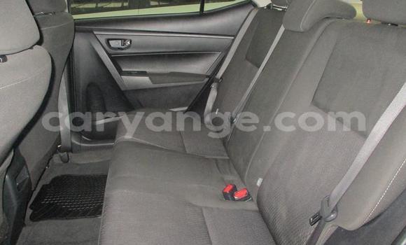 Acheter Occasion Voiture Toyota Corolla Bleu à Windhoek, Namibie Acheter Occasion Voiture Toyota Corolla Bleu à Windhoek, Namibie