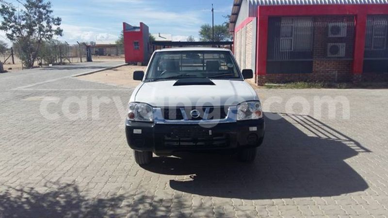 Big with watermark 15285033 1129442643839909 5134408343826197814 n