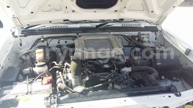 Big with watermark 16195545 964543743682119 5411391990017441485 n