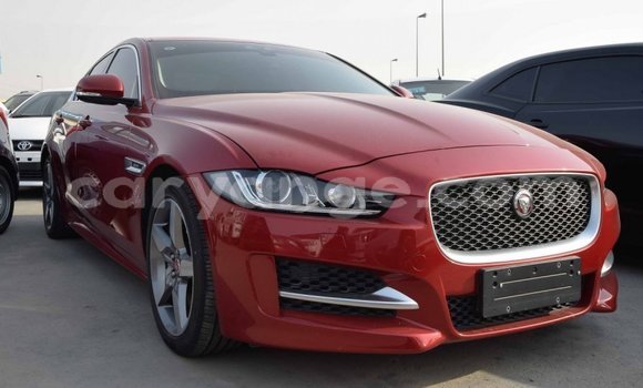 Buy Import Jaguar XE Red Car in Import - Dubai in Namibia