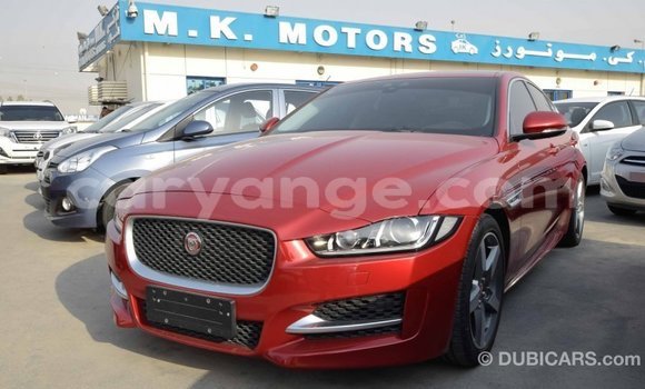 Buy Import Jaguar XE Red Car in Import - Dubai in Namibia Buy Import Jaguar XE Red Car in Import - Dubai in Namibia