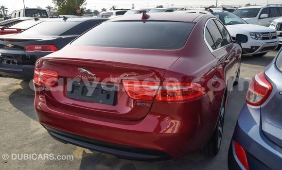 Buy Import Jaguar XE Red Car in Import - Dubai in Namibia Buy Import Jaguar XE Red Car in Import - Dubai in Namibia
