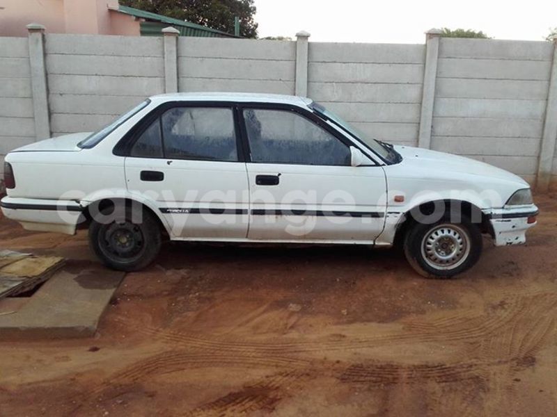 Big with watermark 15578737 1281570078576389 5086098407229006862 n