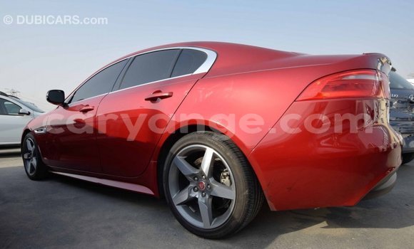 Buy Import Jaguar XE Red Car in Import - Dubai in Namibia Buy Import Jaguar XE Red Car in Import - Dubai in Namibia