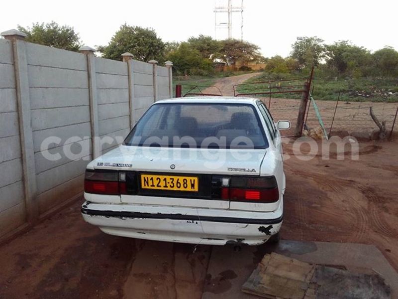 Big with watermark 15285033 1129442643839909 5134408343826197814 n