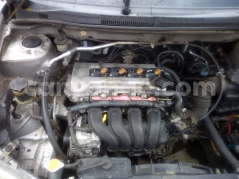 Big with watermark 15578737 1281570078576389 5086098407229006862 n