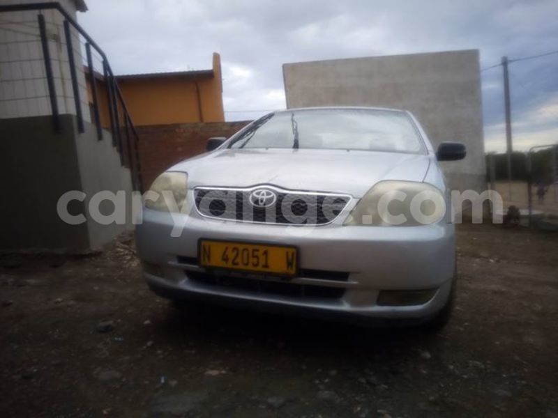 Big with watermark 15285033 1129442643839909 5134408343826197814 n