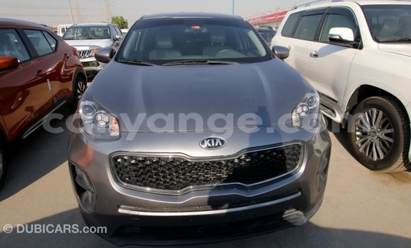 Buy Import Kia Sportage Other Car in Import - Dubai in Namibia Buy Import Kia Sportage Other Car in Import - Dubai in Namibia