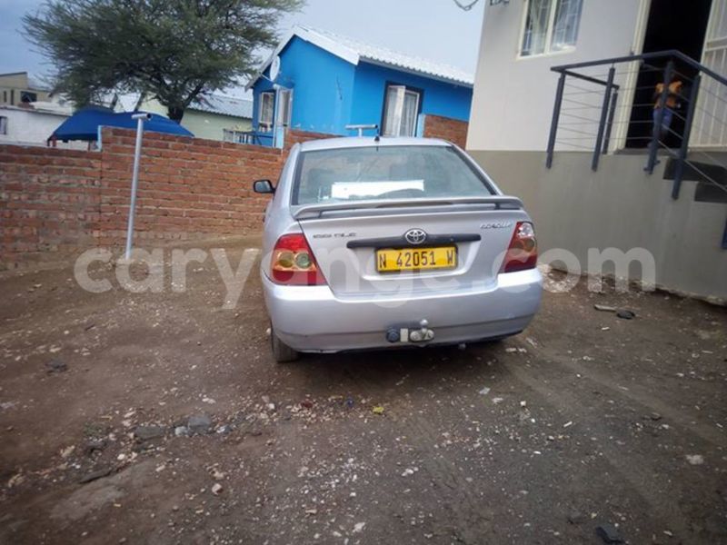 Big with watermark 15590123 1873629849587474 5620022596992670559 n