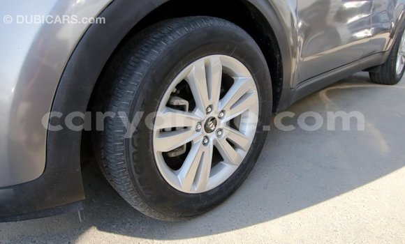 Buy Import Kia Sportage Other Car in Import - Dubai in Namibia Buy Import Kia Sportage Other Car in Import - Dubai in Namibia