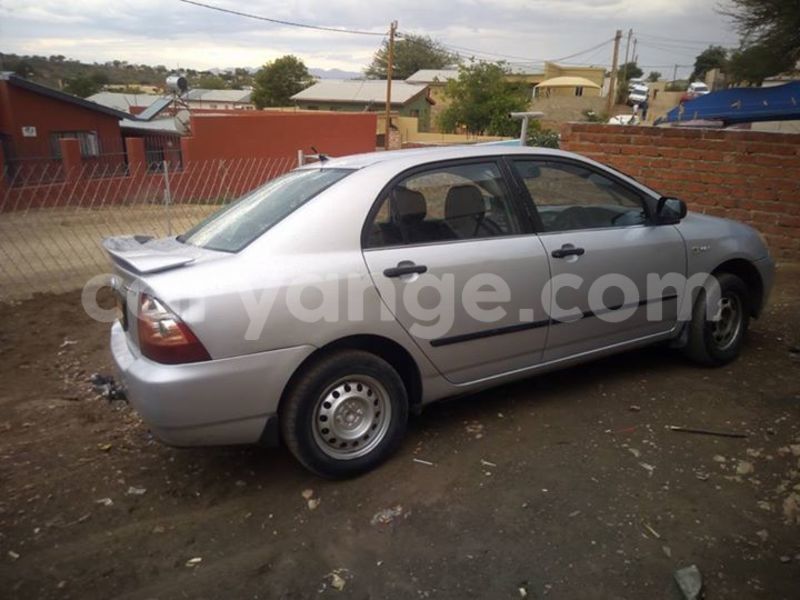 Big with watermark 16195545 964543743682119 5411391990017441485 n