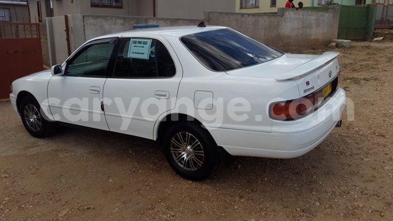 Big with watermark 15285033 1129442643839909 5134408343826197814 n