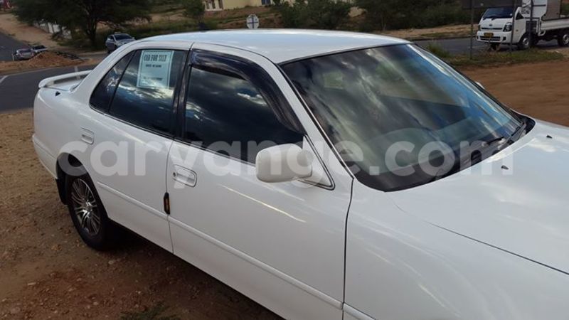 Big with watermark 15578737 1281570078576389 5086098407229006862 n