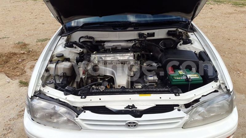 Big with watermark 15590123 1873629849587474 5620022596992670559 n