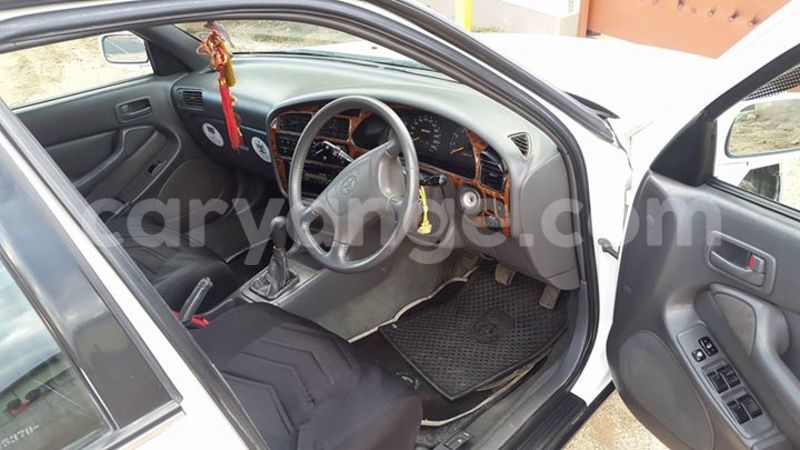 Big with watermark 16195545 964543743682119 5411391990017441485 n