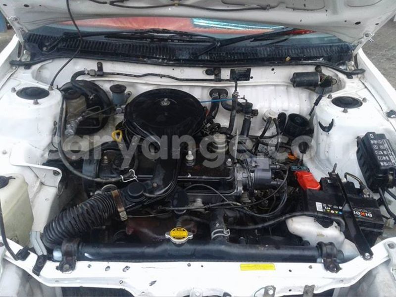 Big with watermark 16195545 964543743682119 5411391990017441485 n