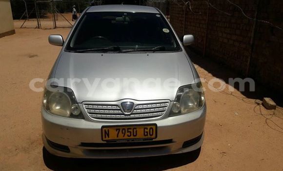 Buy Used Toyota Runx Silver Car in Windhoek in Namibia Buy Used Toyota Runx Silver Car in Windhoek in Namibia