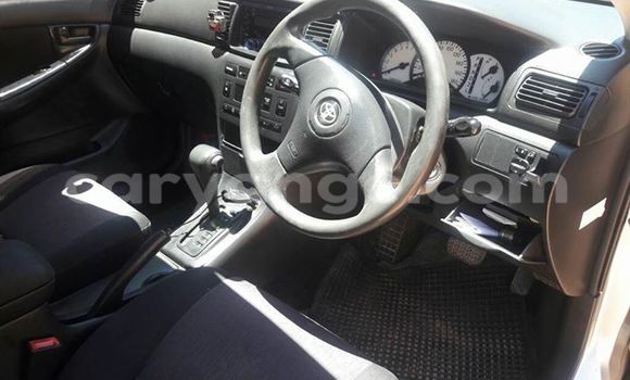 Buy Used Toyota Runx Silver Car in Windhoek in Namibia Buy Used Toyota Runx Silver Car in Windhoek in Namibia