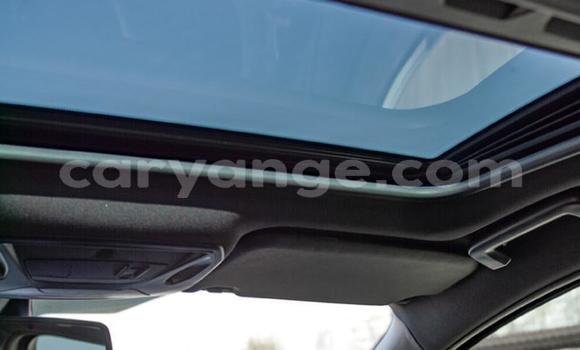 Buy Used Ford Focus RS Blue Car in Windhoek in Namibia Buy Used Ford Focus RS Blue Car in Windhoek in Namibia