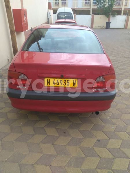 Big with watermark 15285033 1129442643839909 5134408343826197814 n