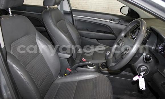 Acheter Occasion Voiture Hyundai Elantra Gris à Windhoek, Namibie Acheter Occasion Voiture Hyundai Elantra Gris à Windhoek, Namibie