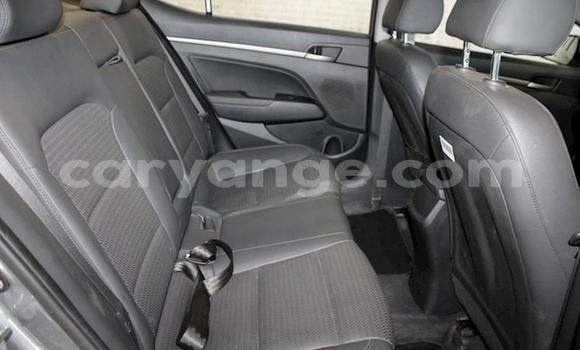 Acheter Occasion Voiture Hyundai Elantra Gris à Windhoek, Namibie Acheter Occasion Voiture Hyundai Elantra Gris à Windhoek, Namibie