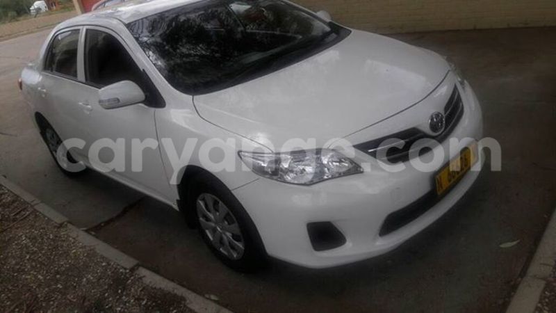 Big with watermark 15285033 1129442643839909 5134408343826197814 n