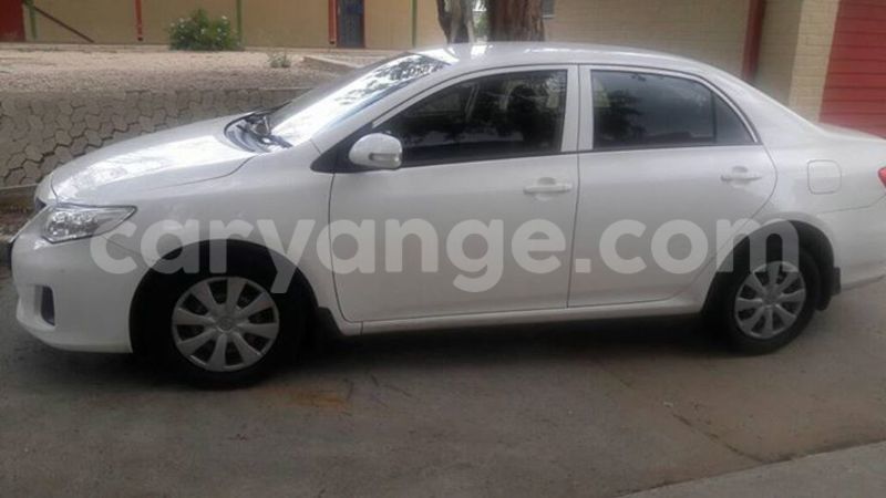 Big with watermark 16195545 964543743682119 5411391990017441485 n