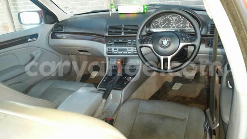 Big with watermark 15590123 1873629849587474 5620022596992670559 n