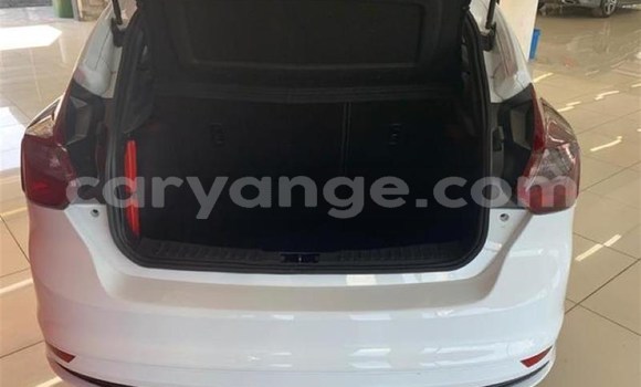 Buy Used Ford Focus White Car in Karasburg in Karas Buy Used Ford Focus White Car in Karasburg in Karas