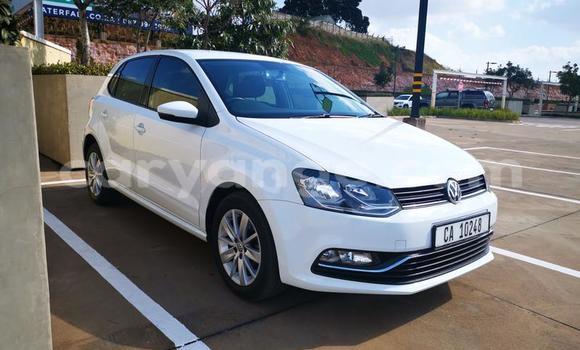 Buy Used Volkswagen Polo White Car in Karibib in Erongo Buy Used Volkswagen Polo White Car in Karibib in Erongo