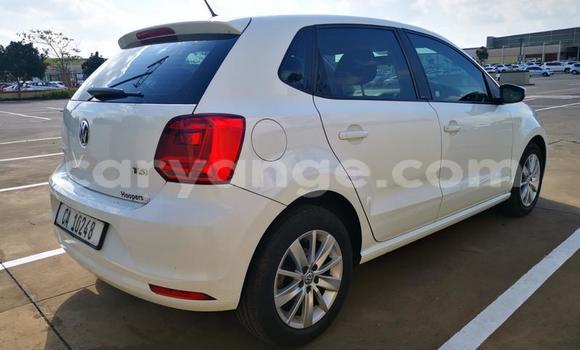 Buy Used Volkswagen Polo White Car in Karibib in Erongo Buy Used Volkswagen Polo White Car in Karibib in Erongo