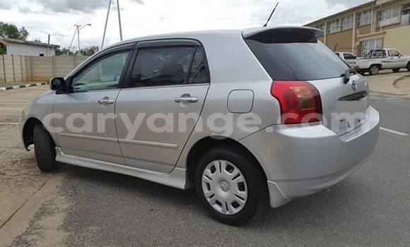 Acheter Occasion Voiture Toyota Runx Gris à Windhoek, Namibie Acheter Occasion Voiture Toyota Runx Gris à Windhoek, Namibie