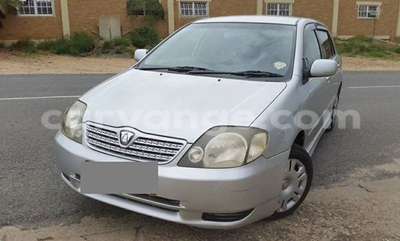 Acheter Occasion Voiture Toyota Runx Gris à Windhoek, Namibie Acheter Occasion Voiture Toyota Runx Gris à Windhoek, Namibie