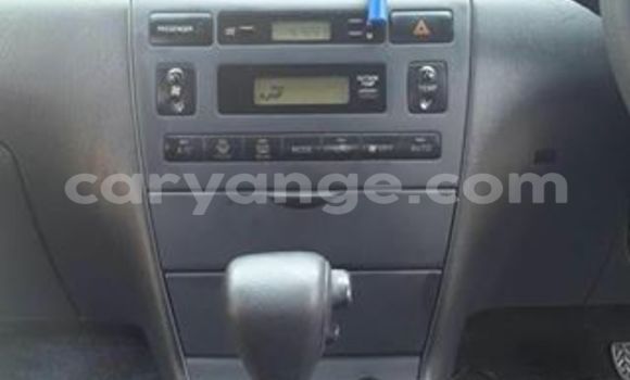 Acheter Occasion Voiture Toyota Runx Gris à Windhoek, Namibie Acheter Occasion Voiture Toyota Runx Gris à Windhoek, Namibie