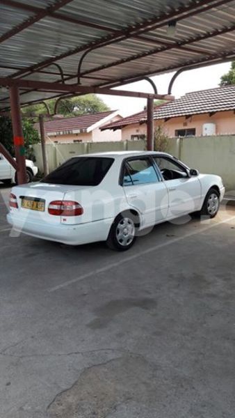 Big with watermark 15285033 1129442643839909 5134408343826197814 n