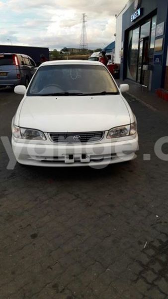 Big with watermark 15590123 1873629849587474 5620022596992670559 n