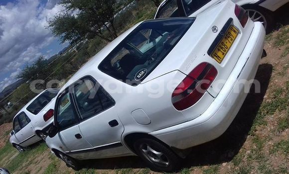 Buy Used Toyota Corolla White Car in Windhoek in Namibia Buy Used Toyota Corolla White Car in Windhoek in Namibia