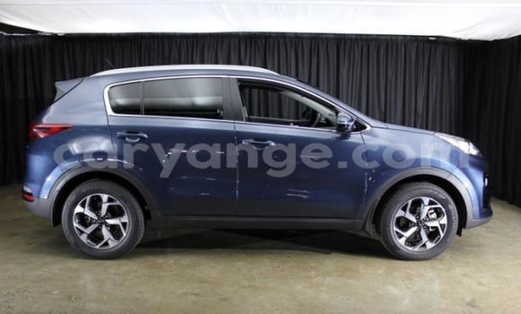 Acheter Occasion Voiture Kia Sportage Bleu à Windhoek, Namibie Acheter Occasion Voiture Kia Sportage Bleu à Windhoek, Namibie