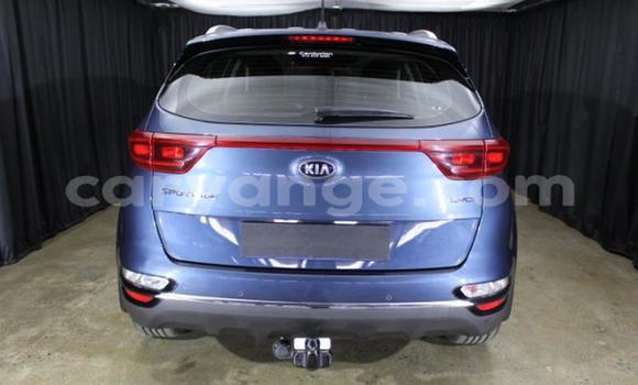 Acheter Occasion Voiture Kia Sportage Bleu à Windhoek, Namibie Acheter Occasion Voiture Kia Sportage Bleu à Windhoek, Namibie