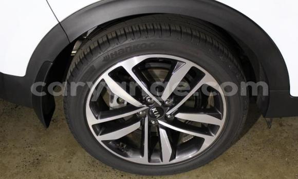 Acheter Occasion Voiture Kia Sportage Blanc à Windhoek, Namibie Acheter Occasion Voiture Kia Sportage Blanc à Windhoek, Namibie