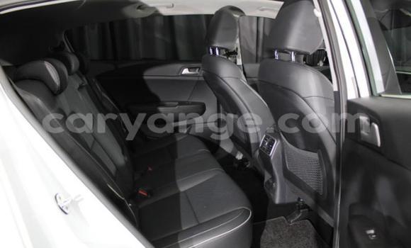 Acheter Occasion Voiture Kia Sportage Blanc à Windhoek, Namibie Acheter Occasion Voiture Kia Sportage Blanc à Windhoek, Namibie