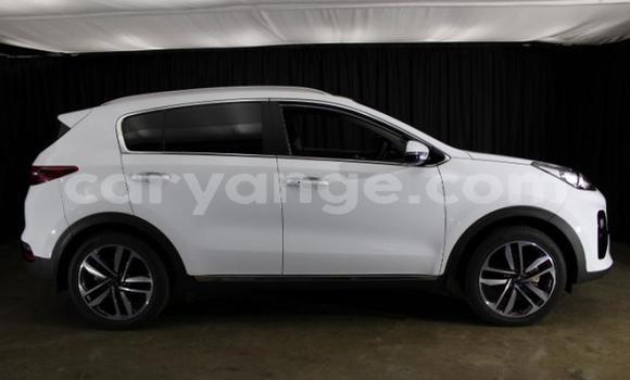 Acheter Occasion Voiture Kia Sportage Blanc à Windhoek, Namibie Acheter Occasion Voiture Kia Sportage Blanc à Windhoek, Namibie