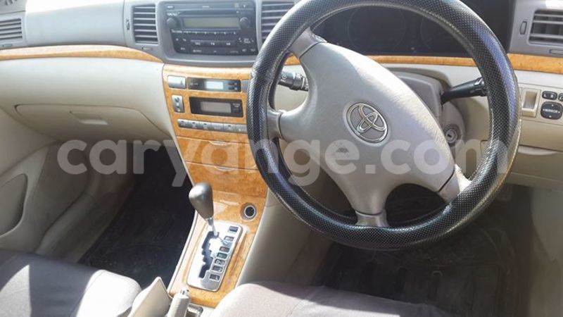 Big with watermark 15578737 1281570078576389 5086098407229006862 n