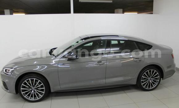 Buy Used Audi A5 Other Car in Windhoek in Namibia Buy Used Audi A5 Other Car in Windhoek in Namibia