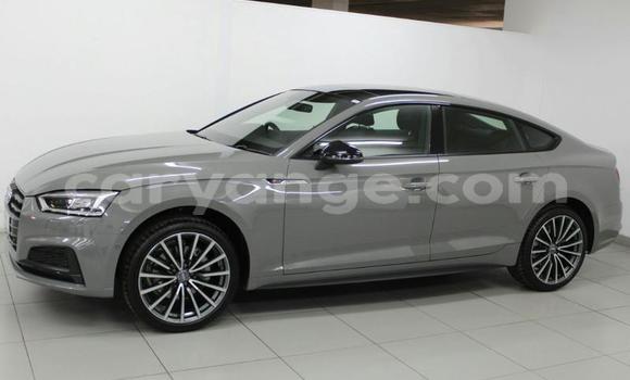 Buy Used Audi A5 Other Car in Windhoek in Namibia Buy Used Audi A5 Other Car in Windhoek in Namibia