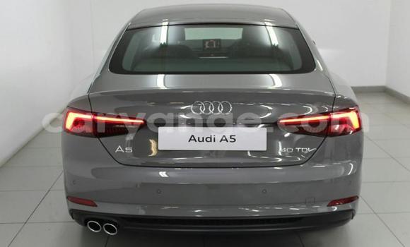 Buy Used Audi A5 Other Car in Windhoek in Namibia Buy Used Audi A5 Other Car in Windhoek in Namibia