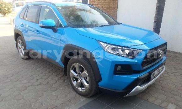 Buy Used Toyota RAV4 Blue Car in Karasburg in Karas Buy Used Toyota RAV4 Blue Car in Karasburg in Karas